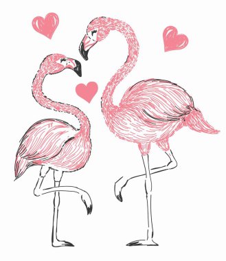 Şirin bir flamingonun vektör çizimi