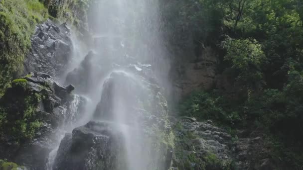 Vízesés Kis Kövekkel Egy Mérsékelt Erdőben — Stock videók