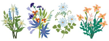 Bir demet kır çiçeği ve çiçek buketi. Çiçek aranjmanları beyaz arka planda izole edilmiş. Bir buket buket. Dekoratif düz çiçek tasarım elementlerinin vektör koleksiyonu.