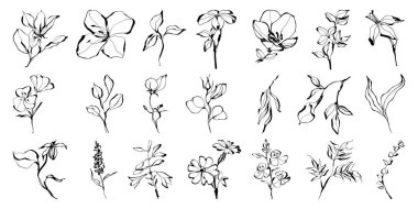 El yapımı mürekkep çiçekleri ve dal koleksiyonu. Tasarım projeleri, tebrik kartları, tarihi, sosyal medya paylaşımları ve davetiyeler için belirlenmiş beyaz arka plan çiçek unsurlarına izole edilmiş. Botanik vektör illüstrasyonu.