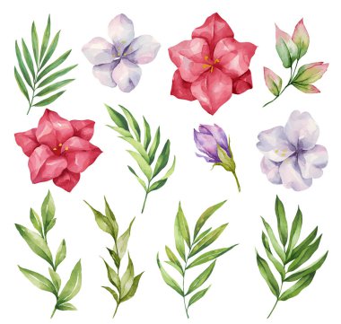 Suluboya çiçek ve yapraklar. Beyaz arka planda el yapımı bahar çiçekleri. Çiçekli nesnelerin dağılımı.