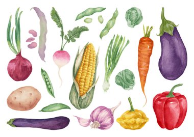 Çeşitli sebzeler. Mutfak blogu, afiş, sosyal medya paylaşımı için suluboya renkli sebzeler, sağlıklı ve vejetaryen yemekleri, yemek tarifleri, yazdırma.