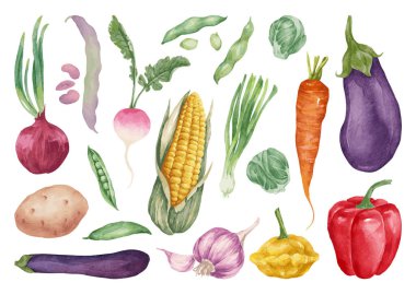 Set of various vegetables. Watercolor colorful vegetables for culinary blog, banner, social media post, as ingredients illustrations for healthy and vegetarian meals, recipes, printing. clipart