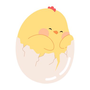 Küçük şirin çizgi film tavuğu. Kırık yumurtanın içindeki paskalya sarısı piliç. Yumurta vektörü illüstrasyonundan çıkan komik yuva karakteri Paskalya kartları, afişler ve çıkartmalar için beyaz bir arkaplanda izole edilmiş..