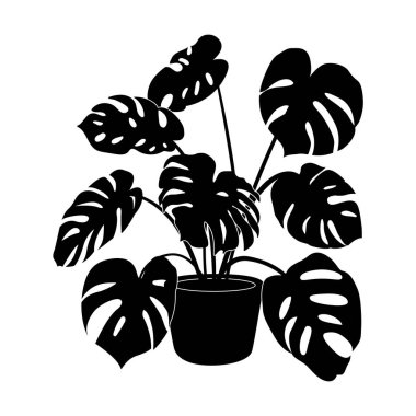 Canavar saksısı bitkisi silueti ikonu. Çiçek saksısında siyah renkli ev bitkisi. Ev dekorasyonu için saksıda bitki özü. Düz tek renkli vektör çizimi beyaz arkaplanda izole edildi.