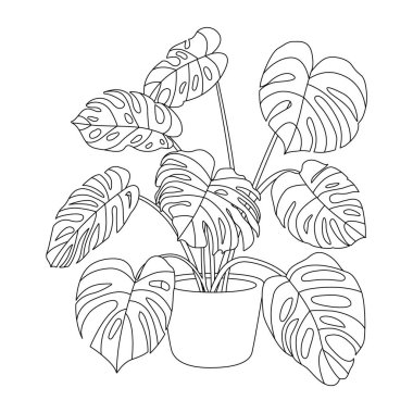 Canavar bitkileri. Saksı bitkisi ana hat vektörü. Kapalı alandaki bir saksıda sergilenen çizgiler. Ev dekorasyonu için saksıda karalama evi bitkisi. Botanik çiçek elementi. Beyaz arkaplanda resim.