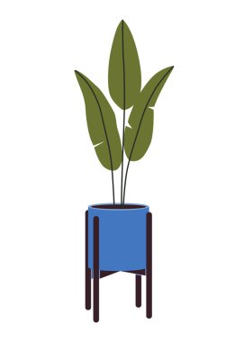 Çiçek saksısında tropik bir bitki. Çiçek saksısında yeşil saksı bitkisi. Moda ofis ve iç dekorasyon için ev bitkisi. Düz vektör çiçek çizimi beyaz arkaplanda izole edildi.