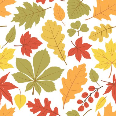 Sonbahar pürüzsüz bir desen bırakır. Sonbahar meşesi, akçaağaç ve kestane yaprağı. Kaplama kağıdı, duvar kağıdı ve kumaş için botanik sezonluk arka plan. Beyaz arkaplanda vektör sonbahar yaprakları izi.