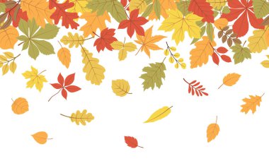 Sonbahar pürüzsüz bir sınır bırakır. Ormanda uçan yaprakların parlak renkleriyle sınırların vektörü. Kutlama kartları, pankartlar, washi bandı, ağ ve Şükran Günü için sezonluk sonbahar tasarımı.