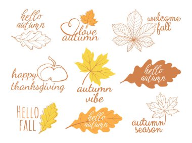 Hoş geldin mektupları, yapraklar ve balkabağı ile sonbahar seti. Sözcüklerle kompozisyonları düşür. Kartlar, posterler, afişler, davetiyeler, çıkartmalar, satışlar için beyaz arkaplan üzerindeki sonbahar vektör çizimleri.