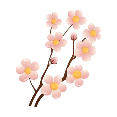 Bahar ağacı dalları. Kiraz çiçeği. Bahar mevsiminde çiçek açan pembe sakura çiçekleri. Çizgi film botanik vektör çizimi beyaz arkaplanda izole edildi.