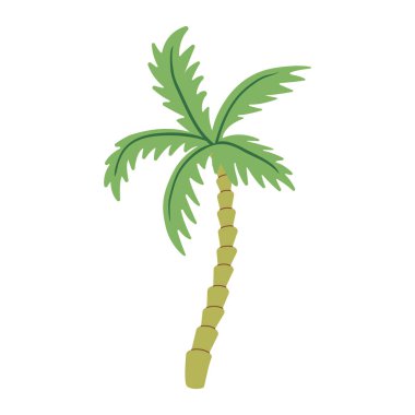 Palmiye ağacı basit vektör çizimi. Tropik yeşil yaz ağacı, tatil, tatil, orman, ada ve egzotik seyahat tasarım projeleri için plaj elementi. Beyaz arkaplanda düz resimleme.