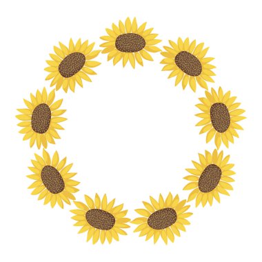 Ayçiçeği çelengi. Ayçiçeği hasat çemberi çerçevesi. Mevsimlik tebrik kartları, davetiyeler, kartpostallar ve ambalaj tasarımı için düz karikatür şeklinde ayçiçekleri olan yuvarlak çerçeve. Vektör tasarımı beyazda izole edildi.