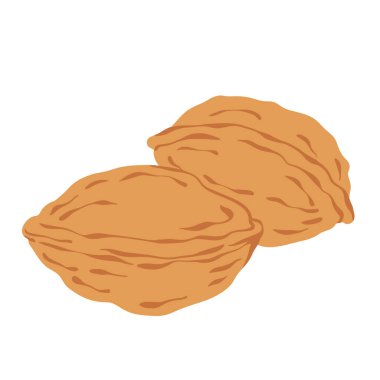 Ceviz elle çizilmiş basit vektör çizimi. Sonbahar cevizi doğal hasat. Ceviz beyaz arkaplanda izole.