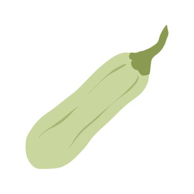 Kabak sebze çizimi. Basit çizgi film tarzında yeşil kabak. Elle çizilmiş taze yeşil kabak organik sebze. Sonbahar kabağı hasadı. Beyaz arka planda vejetaryen bitki yemi.