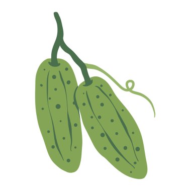 Salatalık sebze vektör çizimi. Basit bir çizgi film tarzında yeşil salatalıklar. El yapımı salatalıklar organik sebzeler. Sonbahar hasadı vejetaryen gıda beyaz arka planda izole.