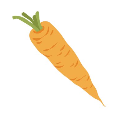Havuç, taze turuncu sebze çizimi. Çizgi film tarzında bir havuç. Elle çizilmiş tatlı havuç organik kök sebze. Vejetaryen bitkilerinin güz hasadı beyaz arka planda.