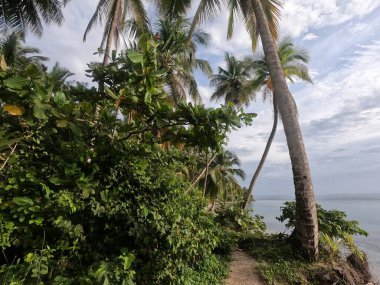 Hacia Playa Estrella, en Bocas del Toro clipart