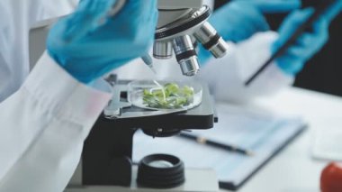Tıp laboratuarında petri kabı tutan bir bilim adamı.