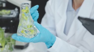 Laboratuvarda çalışan bilim adamı.