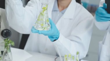 Laboratuvarda bitkilerle yeşil yaprak tutan kadın bilim adamı
