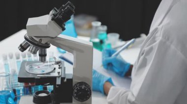 Laboratuvarda mikroskobu olan bir bilim adamı. laboratuvar araştırmaları ve tıp.