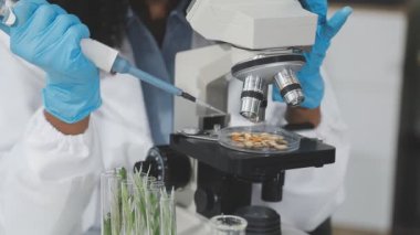 Laboratuvarda mikroskopla çalışan bilim adamı