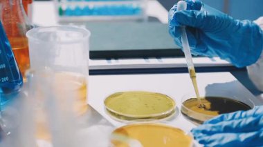 Elinde cam matara tutan koruyucu eldivenli bir laboratuvar çalışanı.