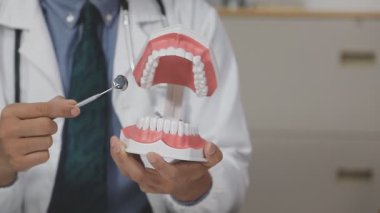 dişçi çenesinde diş modelini gösteriyor.