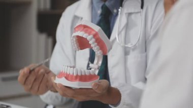 Doktor diş modelini tutuyor ve diş modelini gösteriyor