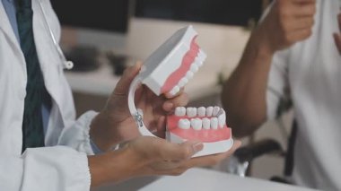 Diş modelini gösteren diş modelini tutan dişçi ellerini kapatın.