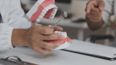 Diş modeli, model, diş bakımı.