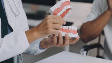 dişçi dişlerini ve modelini gösteriyor