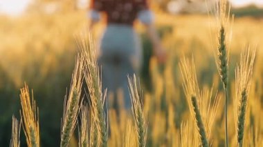 Genç çiftçiyle buğday tarlası