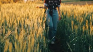 Gün batımında buğday tarlasında bir kız