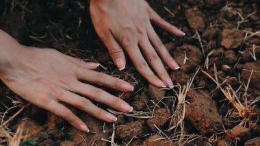 Ormanda siyah bir çivi ve beyaz bir çiviyle bir kadının ayakları