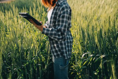 Smart farm. Farmer with tablet in the field. Agriculture, gardening or ecology concept. Harvesting. Agro business.