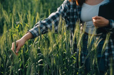 Smart farm. Farmer with tablet in the field. Agriculture, gardening or ecology concept. Harvesting. Agro business.
