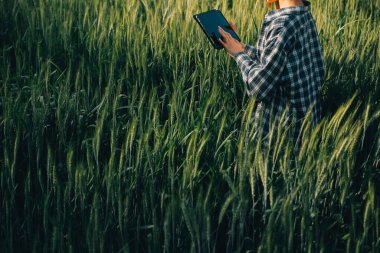 Smart farm. Farmer with tablet in the field. Agriculture, gardening or ecology concept. Harvesting. Agro business.