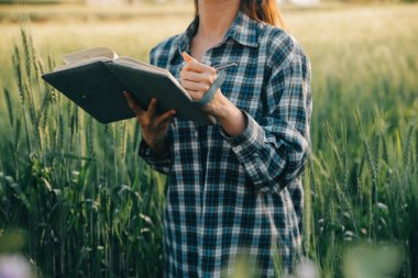 Smart farm. Farmer with tablet in the field. Agriculture, gardening or ecology concept. Harvesting. Agro business.