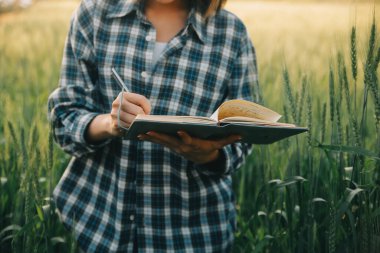 Smart farm. Farmer with tablet in the field. Agriculture, gardening or ecology concept. Harvesting. Agro business.