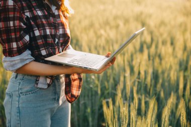 Smart farm. Farmer with tablet in the field. Agriculture, gardening or ecology concept. Harvesting. Agro business.