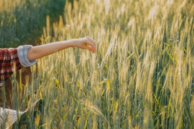Smart farm. Farmer with tablet in the field. Agriculture, gardening or ecology concept. Harvesting. Agro business.