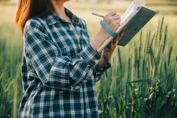 Smart farm. Farmer with tablet in the field. Agriculture, gardening or ecology concept. Harvesting. Agro business.