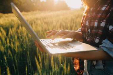 Smart farm. Farmer with tablet in the field. Agriculture, gardening or ecology concept. Harvesting. Agro business.