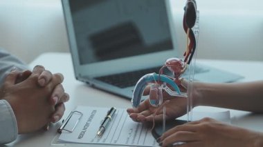 Doktor, erkek idrar sistemini açıklamak için anatomik model kullanıyor. Parçalarla etiketlenmiş bir model, doktor noktaları ve bunların idrar işlevleri için nasıl birlikte çalıştıklarını açıklıyor..