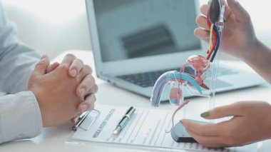Doktor, erkek idrar sistemini açıklamak için anatomik model kullanıyor. Parçalarla etiketlenmiş bir model, doktor noktaları ve bunların idrar işlevleri için nasıl birlikte çalıştıklarını açıklıyor..