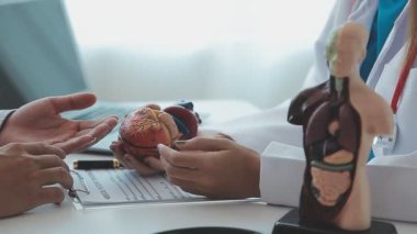 Doktor yaşlı bir hastaya kalp çalışmalarını açıklamak için bir kalp modeli kullanıyor. Anatomisi hakkında net ve detaylı bir özet sunuyor..