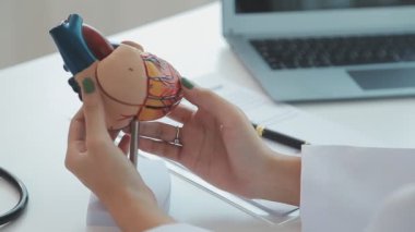 Doktor yaşlı bir hastaya kalp çalışmalarını açıklamak için bir kalp modeli kullanıyor. Anatomisi hakkında net ve detaylı bir özet sunuyor..