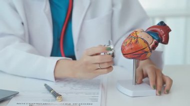 Doktor yaşlı bir hastaya kalp çalışmalarını açıklamak için bir kalp modeli kullanıyor. Anatomisi hakkında net ve detaylı bir özet sunuyor..